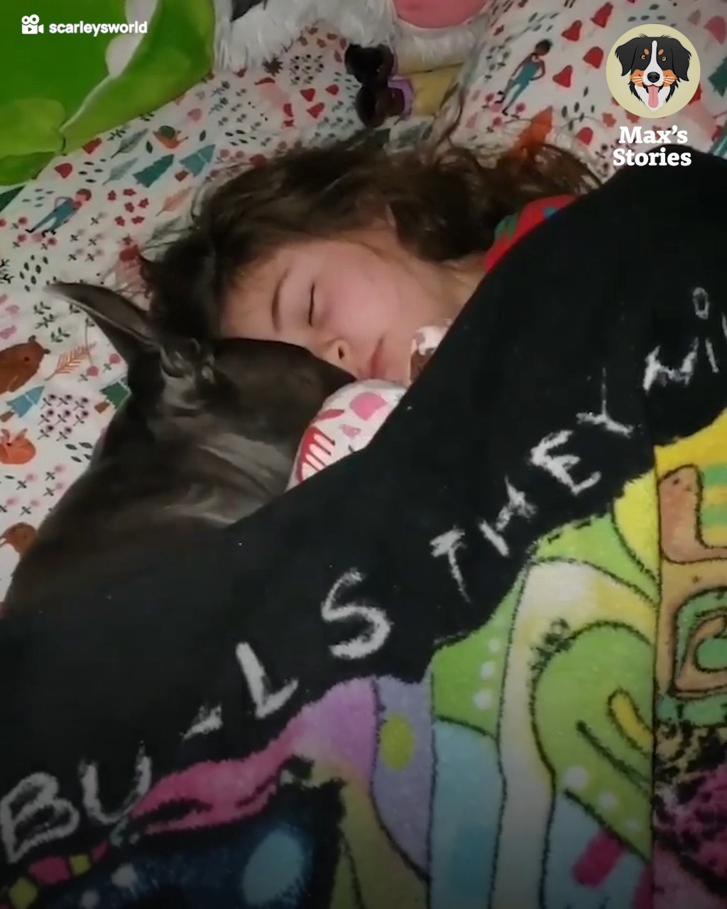 This pitbull sleeps with this little girl Pit bull This pitbull