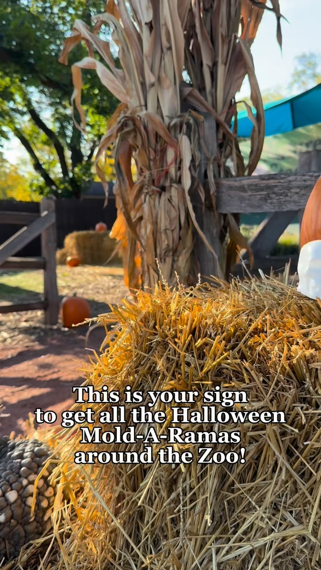 Get your paws on these new Mold-A-Ramas! Snag a spooky souvenir