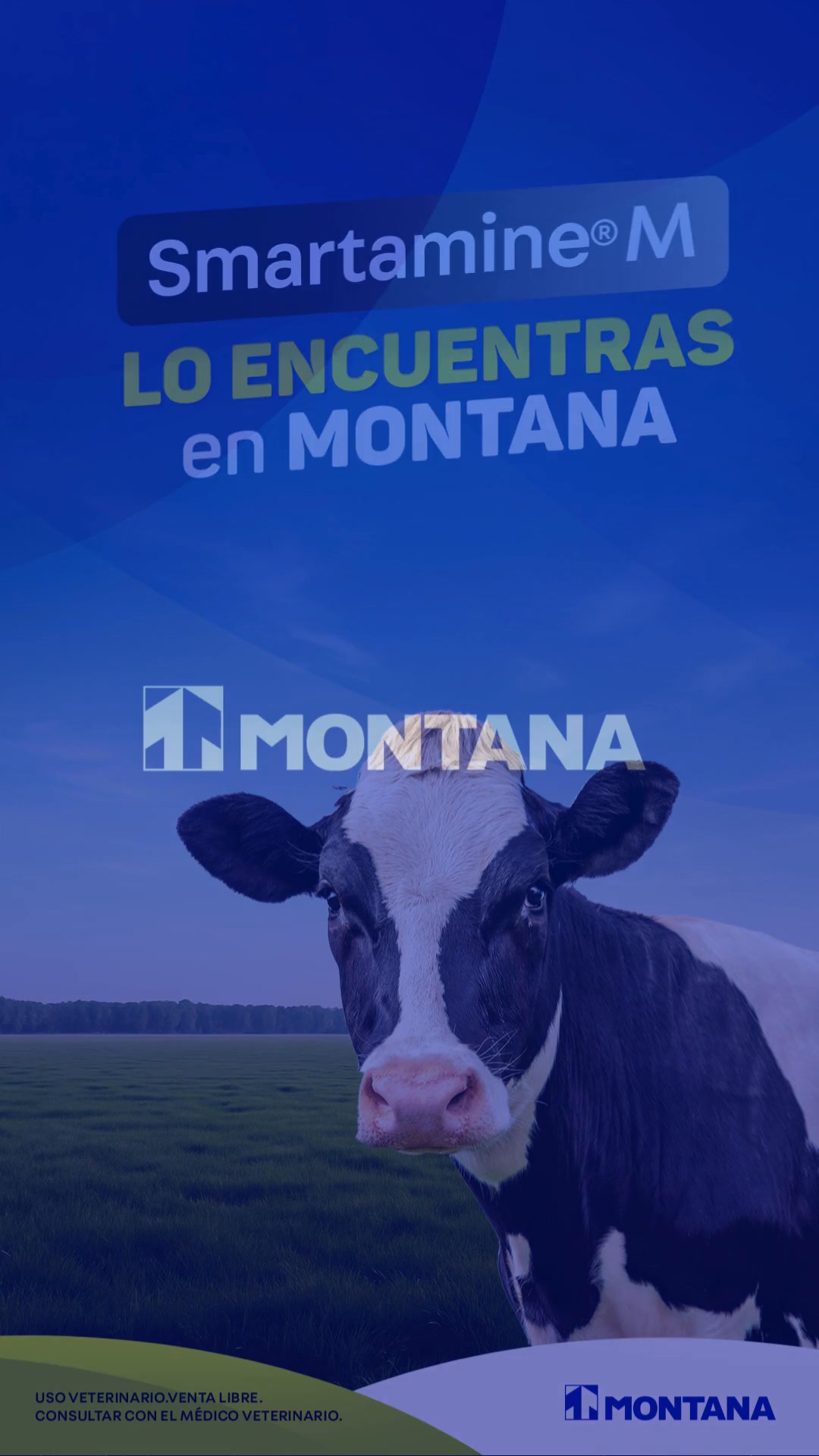 Montana Oficial - ENROPRO®️ 20 LA | Antibiótico inyectable de amplio ...