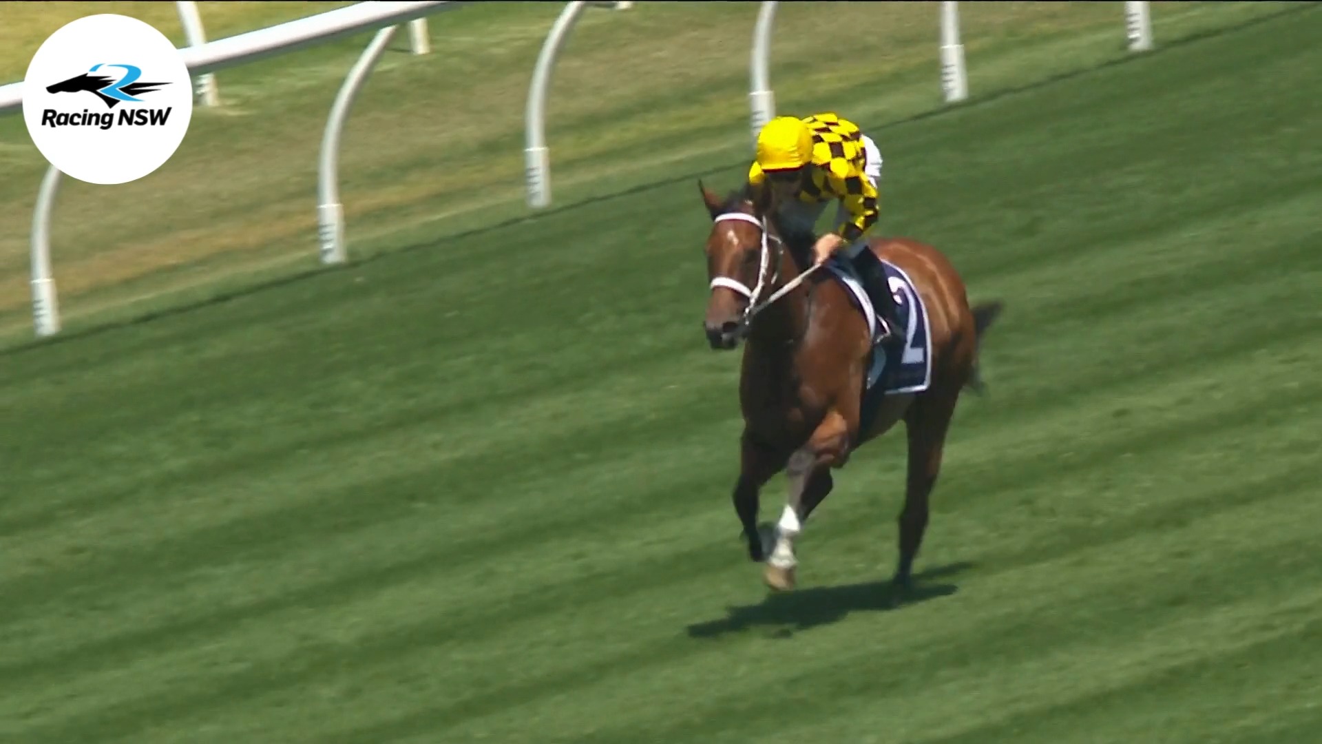 EXHIBITION GALLOPS 👀: Chris Waller Racing rolled out some of his stars ...