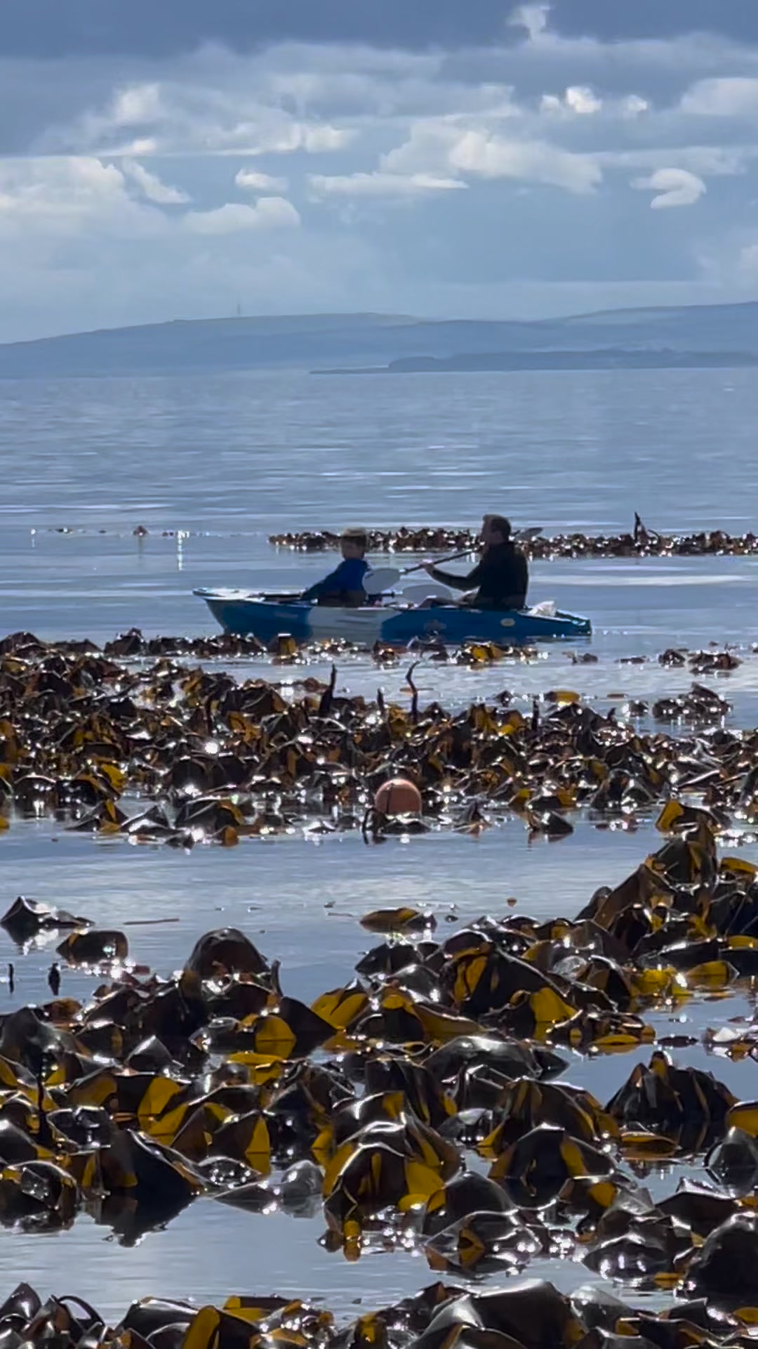 The Rocks, Elie | Earlsferry