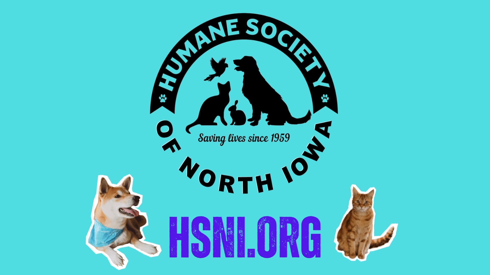 Humane Society of North... - Humane Society of North Iowa