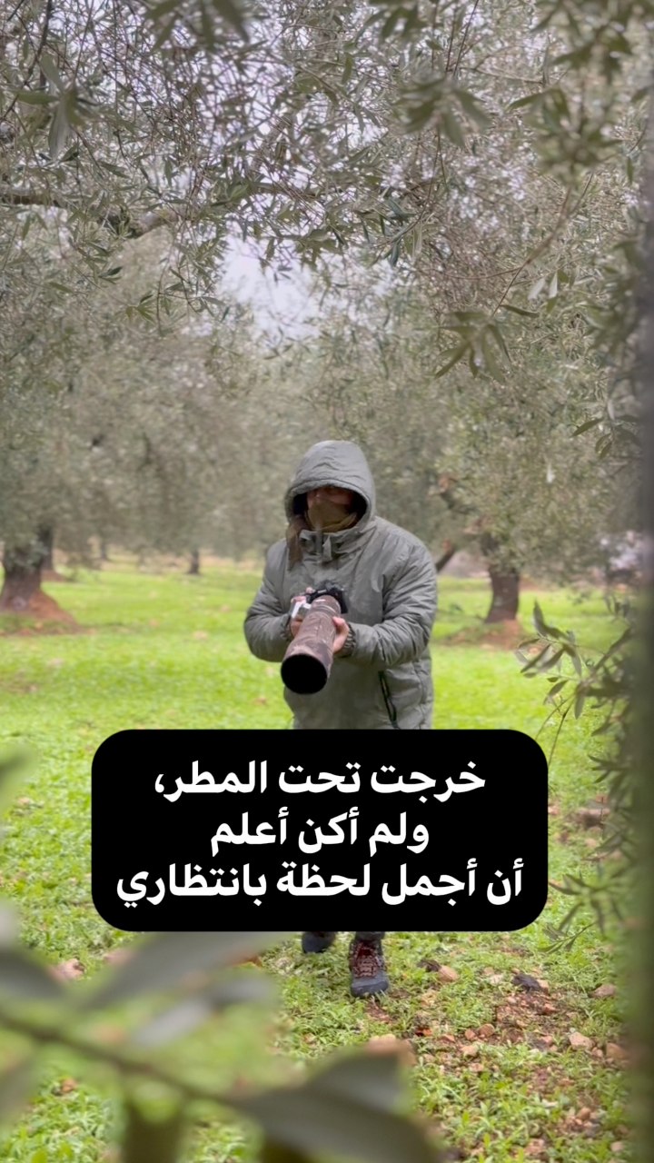 كانت لحظة من أروع اللحظات في البريه وتحت المطر #تصوير #حياة_برية #غزال ...