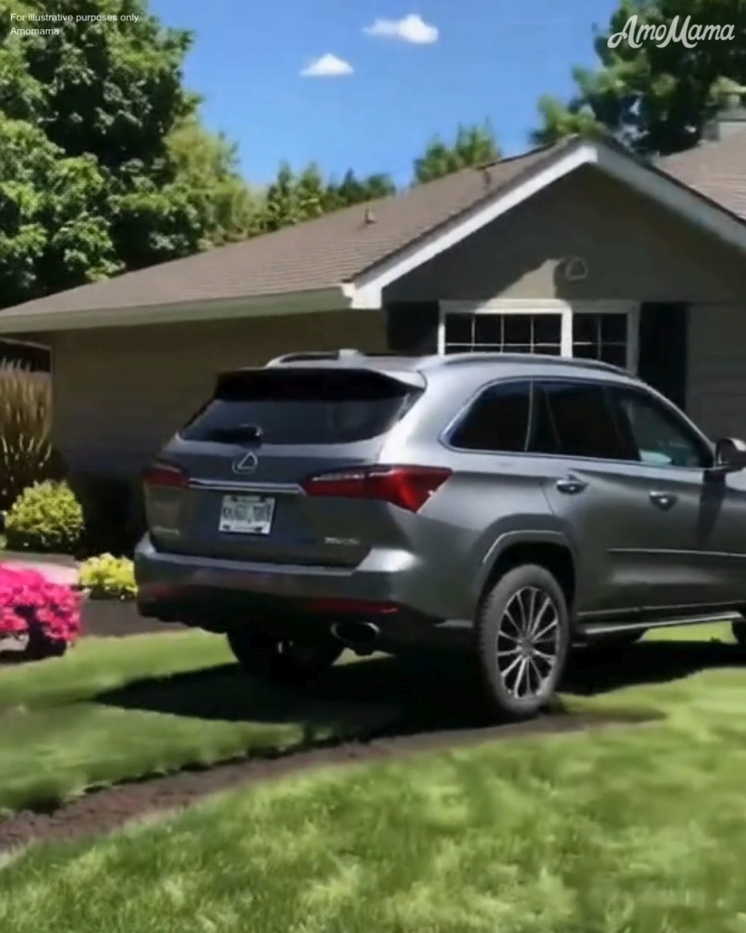 MY NEIGHBOR KEPT DRIVING OVER MY LAWN... - AmoMama Nostalgia | Facebook