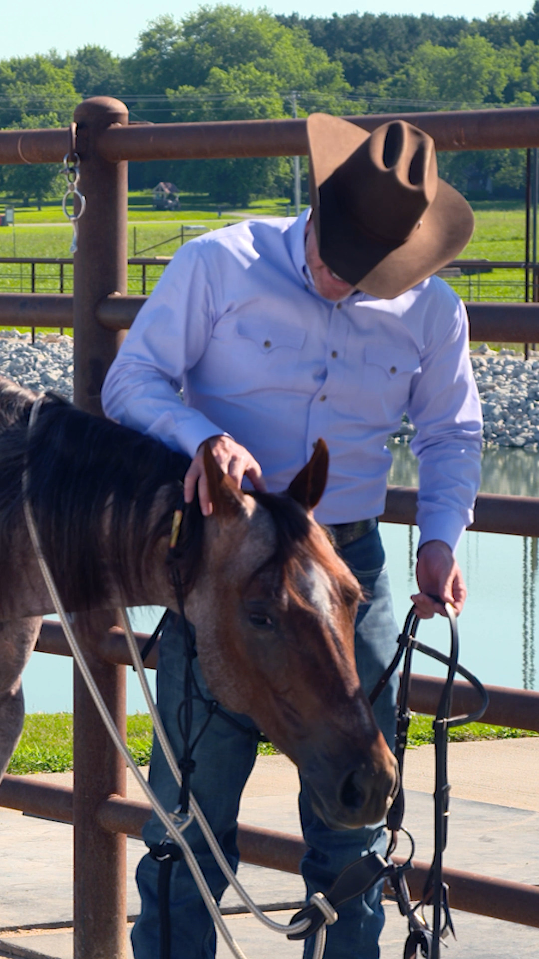 Correctly Adjusting the Bit In... - Downunder Horsemanship | Facebook