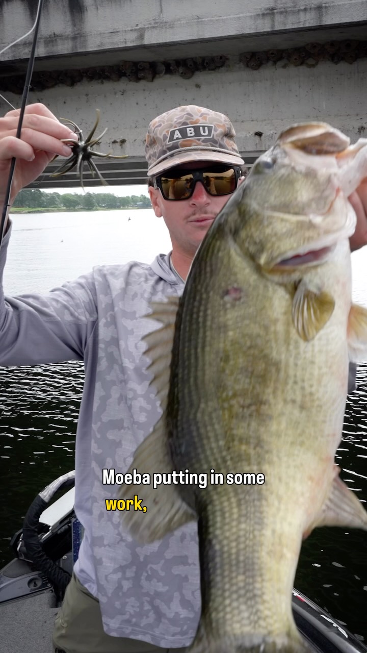 cast the net wide for fish hooking them big fish-Mullet, Tilapia, Drum, Cat and more- bigger – Ohero Fishing Products Size:S-Type Square Bill Fishing Leaders, Fish Line The Humpback Cast Net Default Category/Berkley