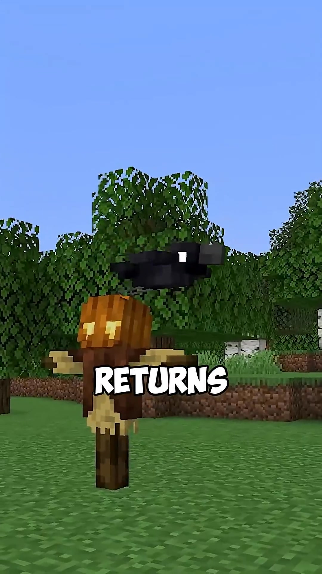this mod adds a messenger crow in minecraft #minecraft #minecraftmemes ...
