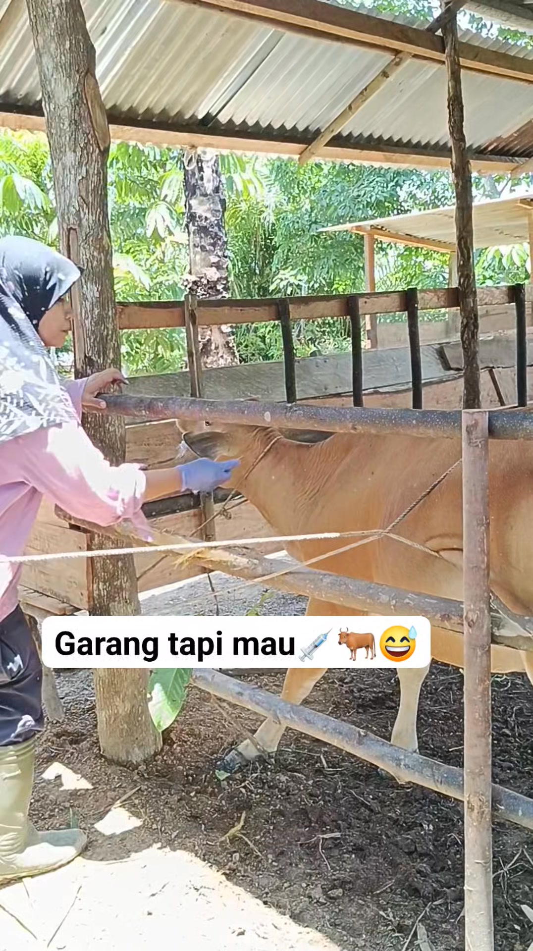 Maya Juwanita