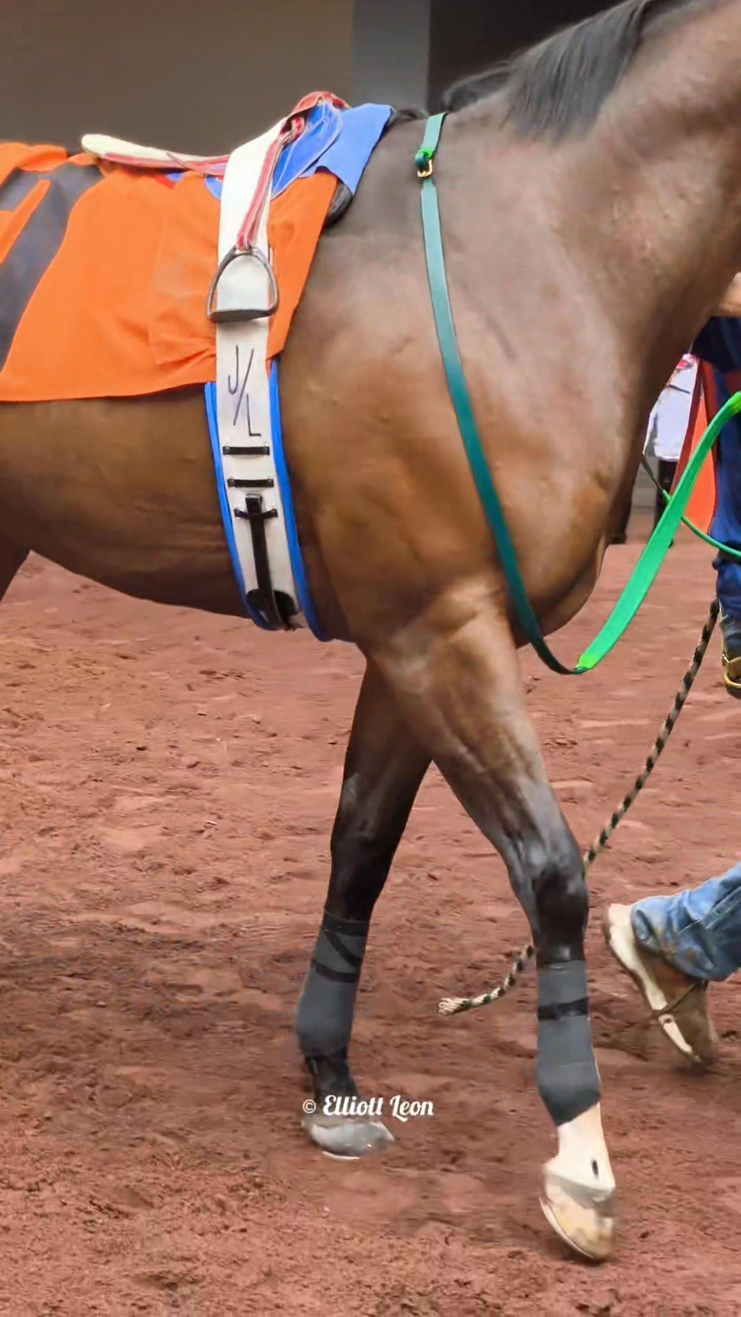 Aj Emerald Diamond 🐴 (Apollitical Jess - First Painted Sign Pyc Paint ...