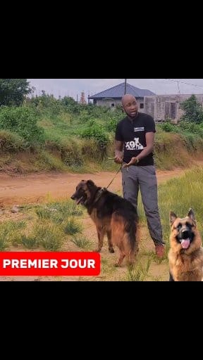 🛑🫵🏼 Voici les SECRETS du premier jour D'ÉDUCATION d'un CHIEN🐕‍🦺 ‼️ ...