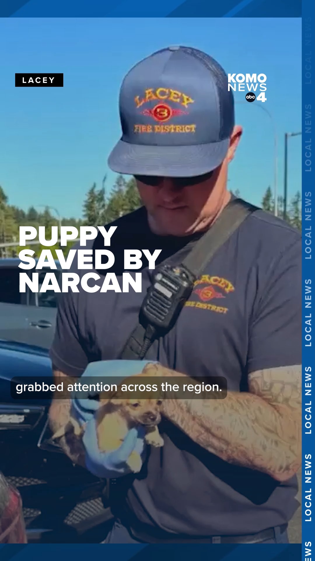 A tiny puppy in Lacey is recovering from fentanyl exposure after ...