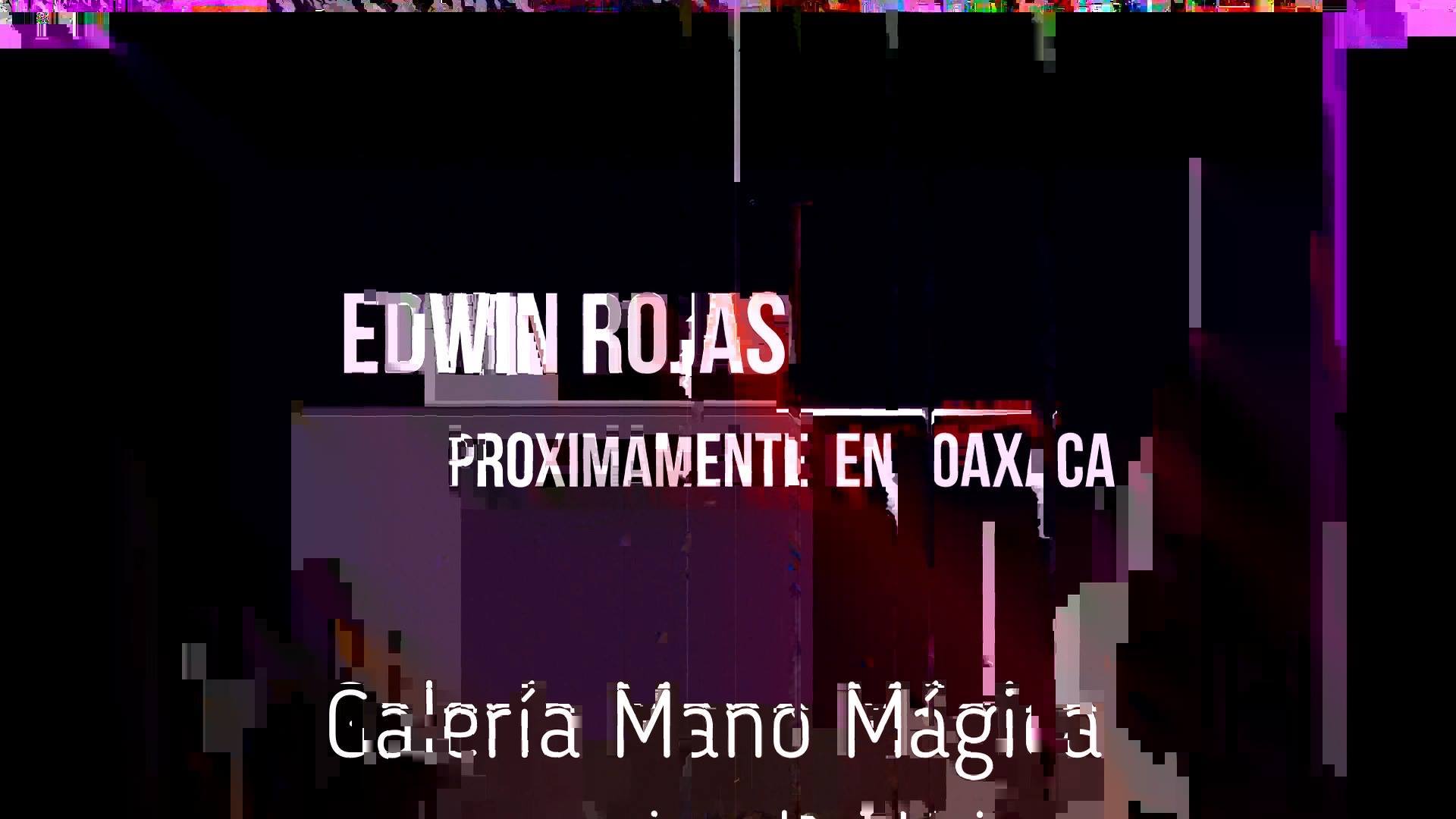 EDWIN ROJAS artista