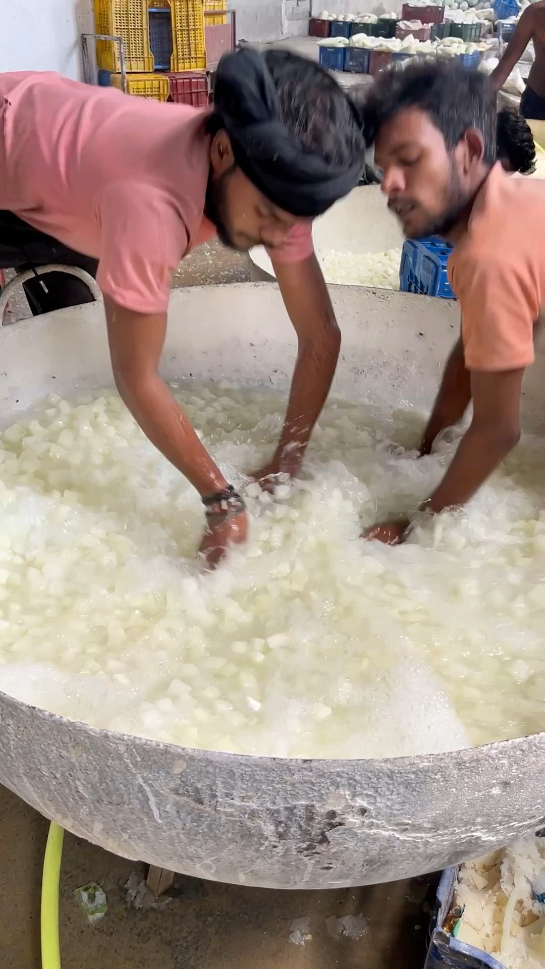 Extreme Level Making of Petha in India #fblifestyle #dessert # ...