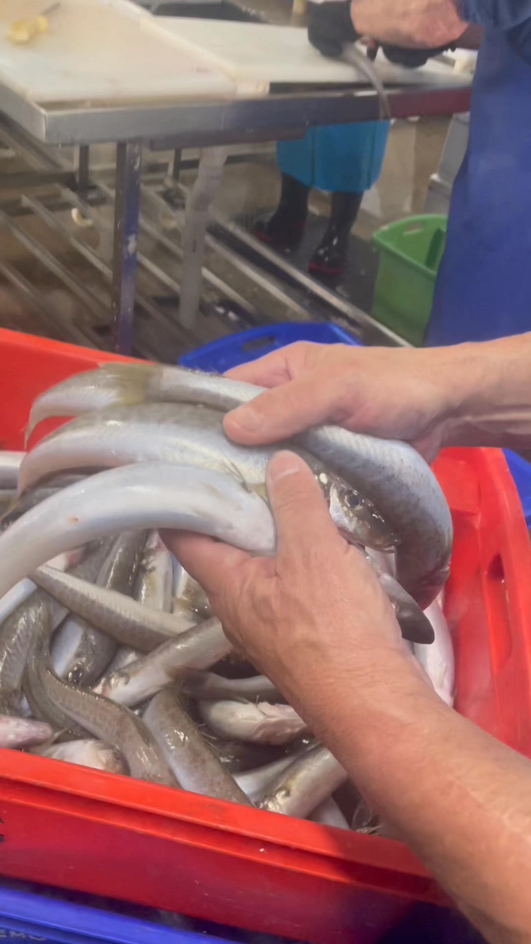 Jenkins & Son Fresh Fish on Reels | Facebook