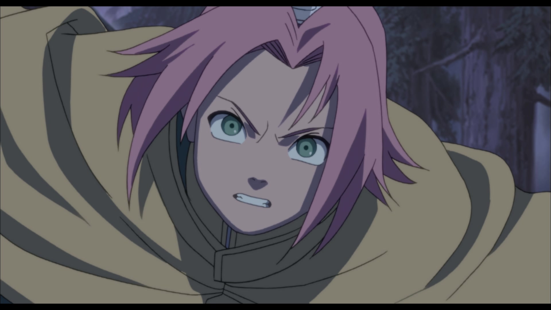 A Hidden Kingdom. Ruthless Betrayal. One Ninja Will Change It All ...