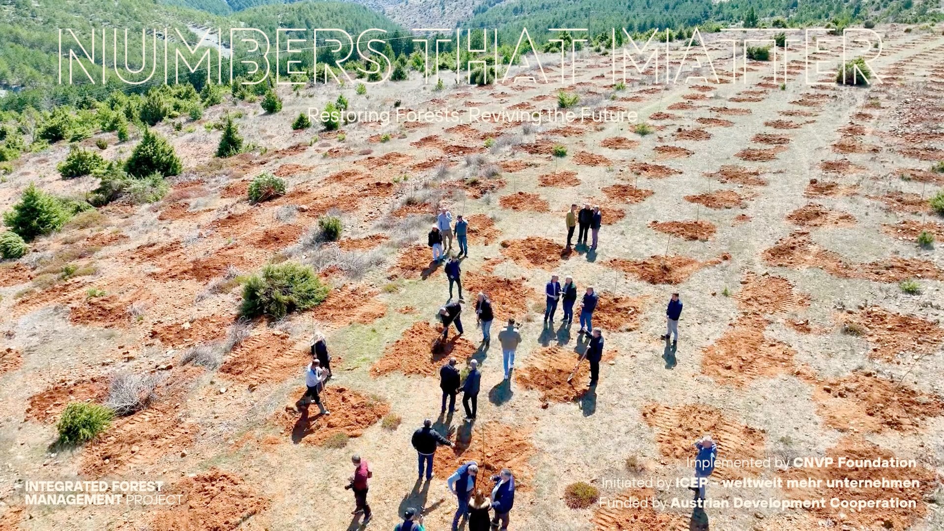 𝐍𝐮𝐦𝐛𝐞𝐫𝐬 𝐭𝐡𝐚𝐭 𝐌𝐚𝐭𝐭𝐞𝐫 🌳 Through the IFM Project, CNVP continues to ...