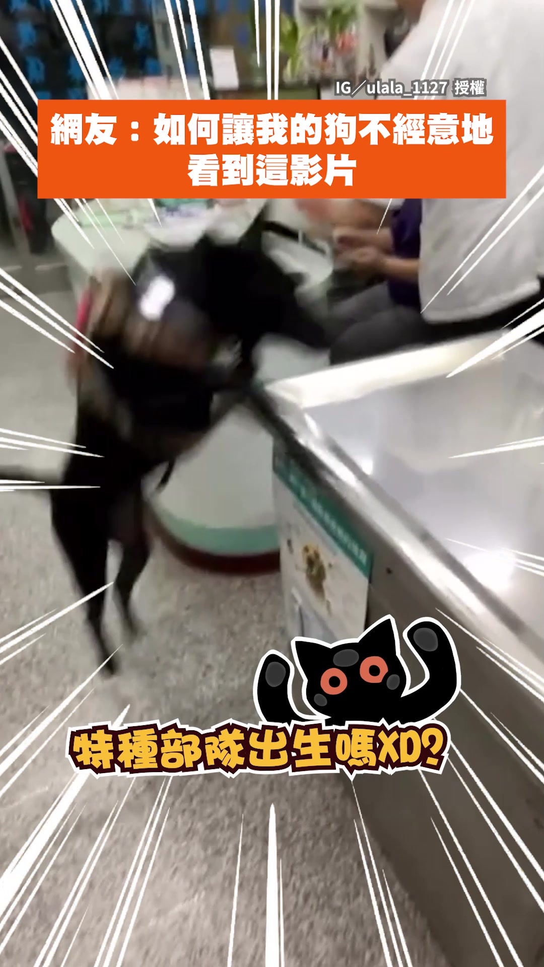 【如何讓我家的狗看到這影片】黑狗打針前輕功一跳 直上診療台驚呆網友 影片授權：IG／ulala_1127 #即新聞 | 即新聞 | Facebook
