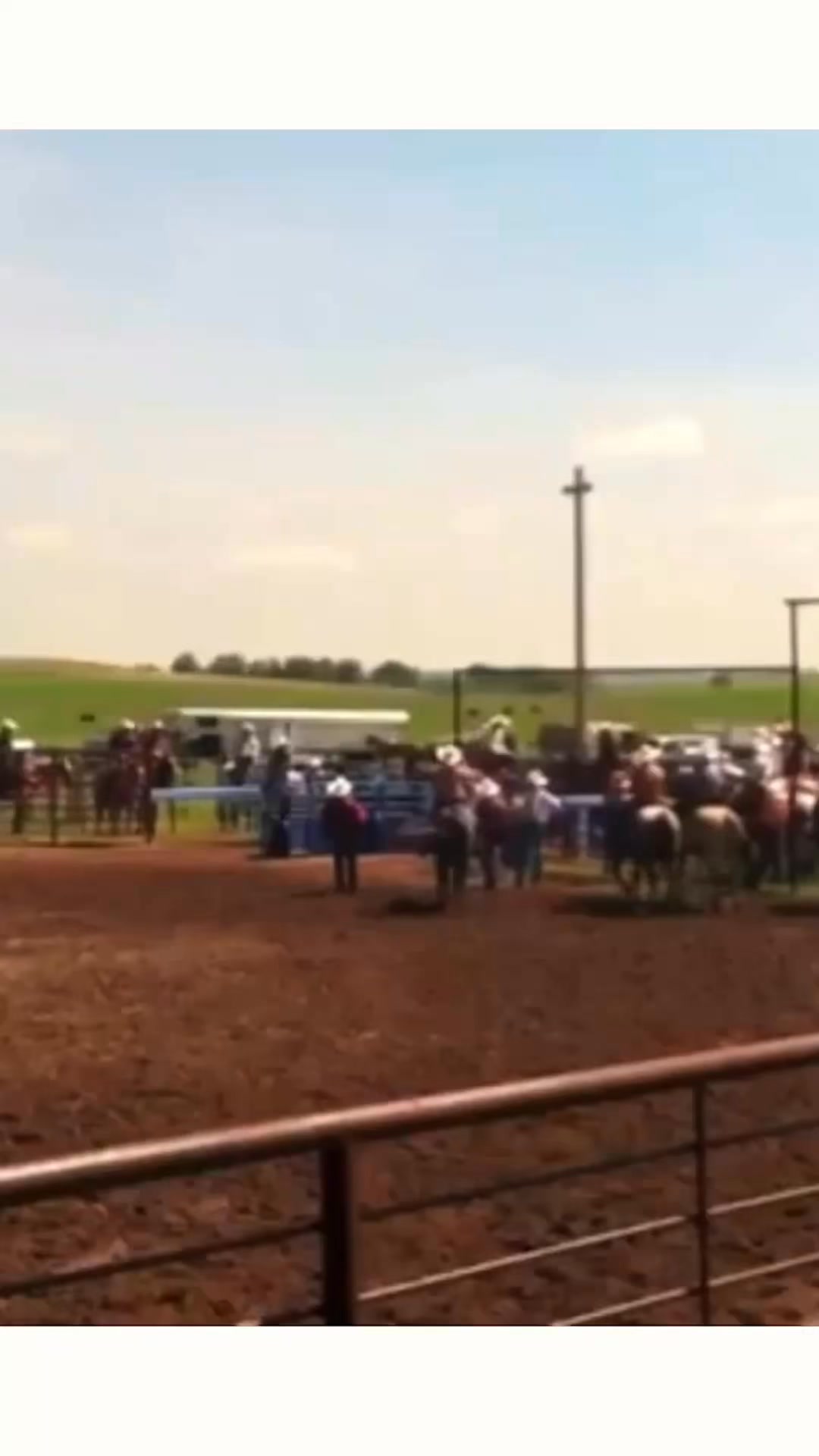 Back in 2012, Levi Lord picked up a $2,700 horse when he was a #4 ...