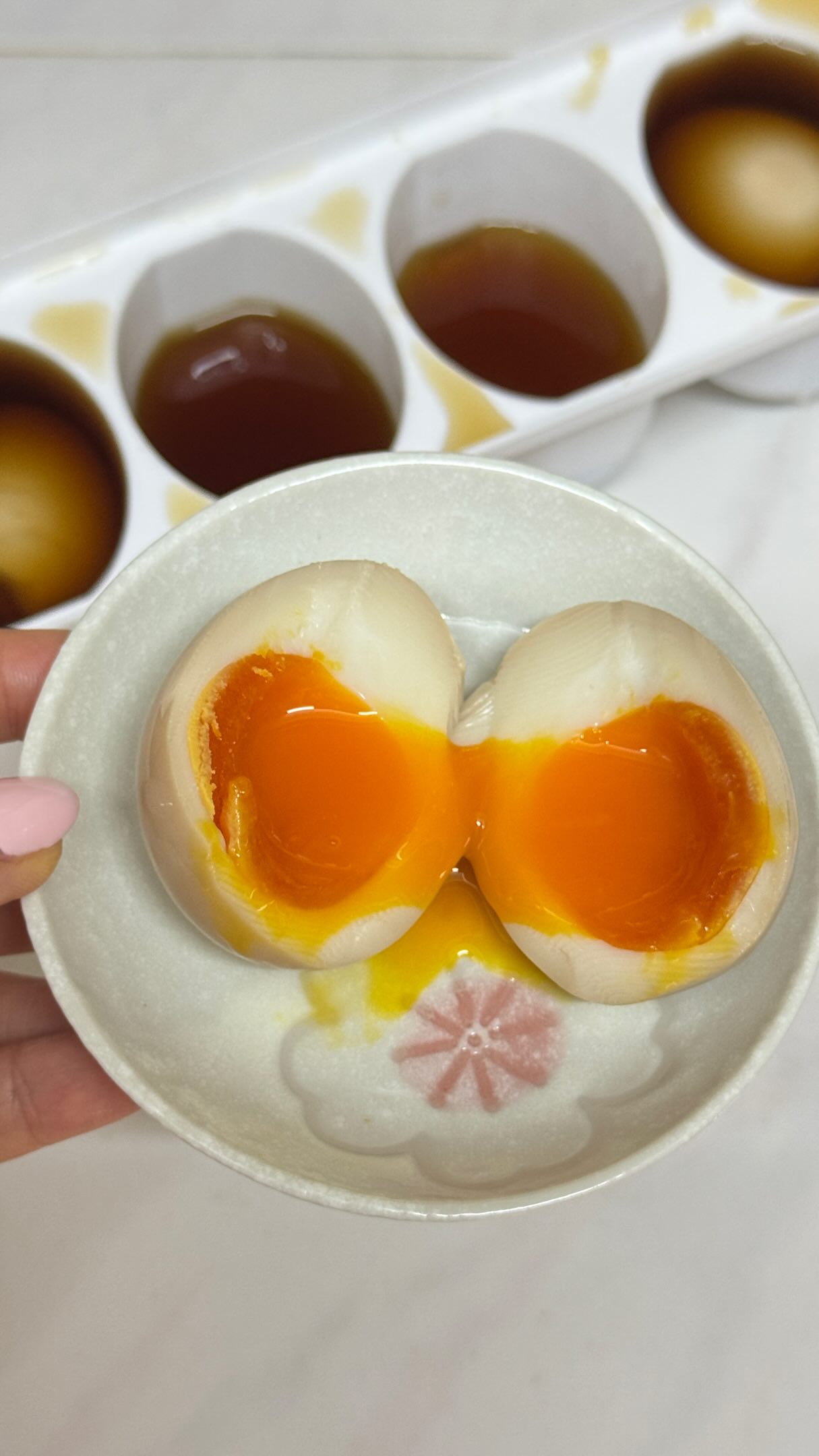 煮卵日本代表