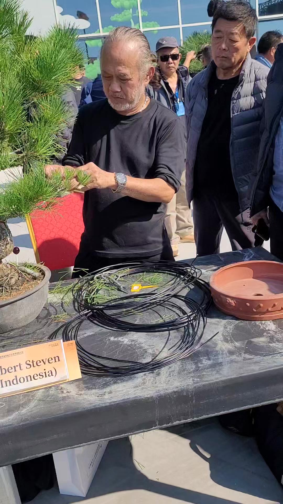 Demo Bonsai WORBAC di China oleh Pak Robert Steven INDONESIA . #WORBAC ...