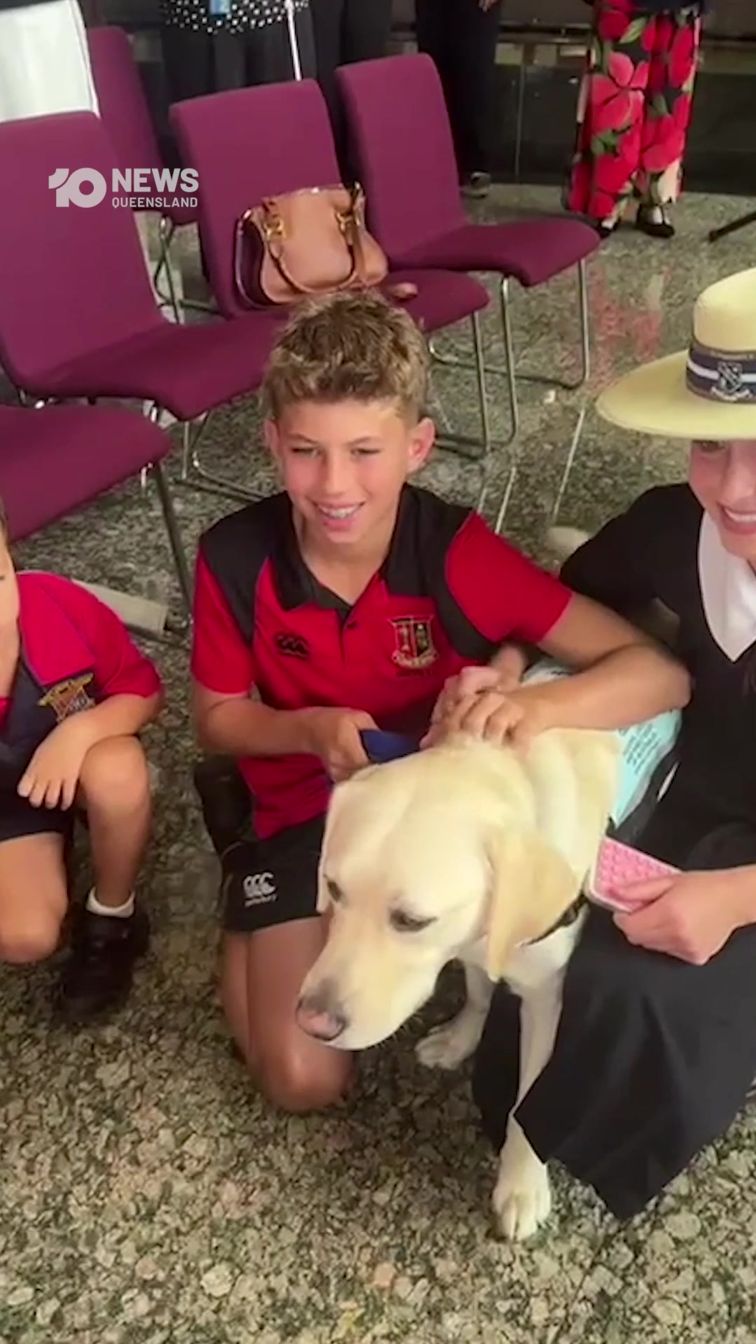 Brisbane’s Federal Court has welcomed a new four-legged recruit who is ...