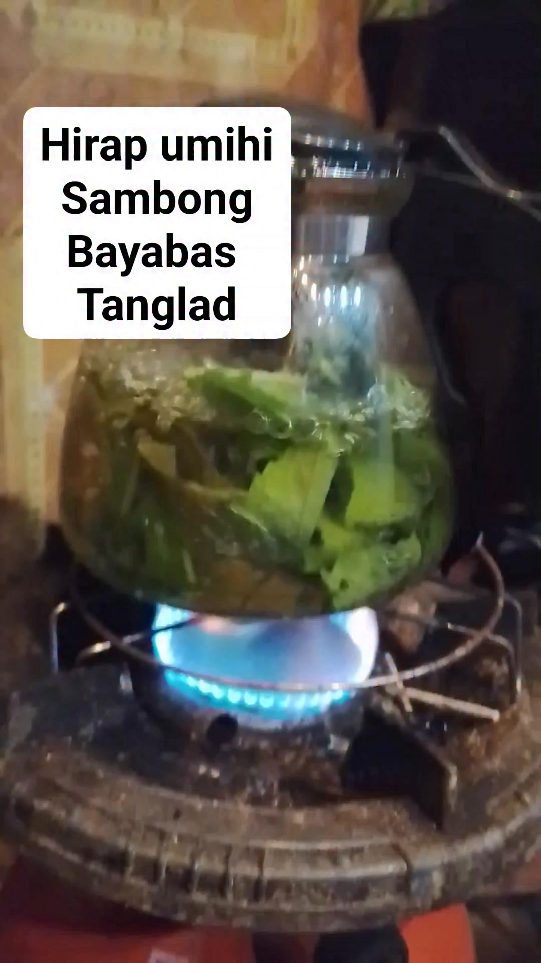 Pakulo ka ng limang dahon ng bayabas at sambong dalawang stalk ng ...