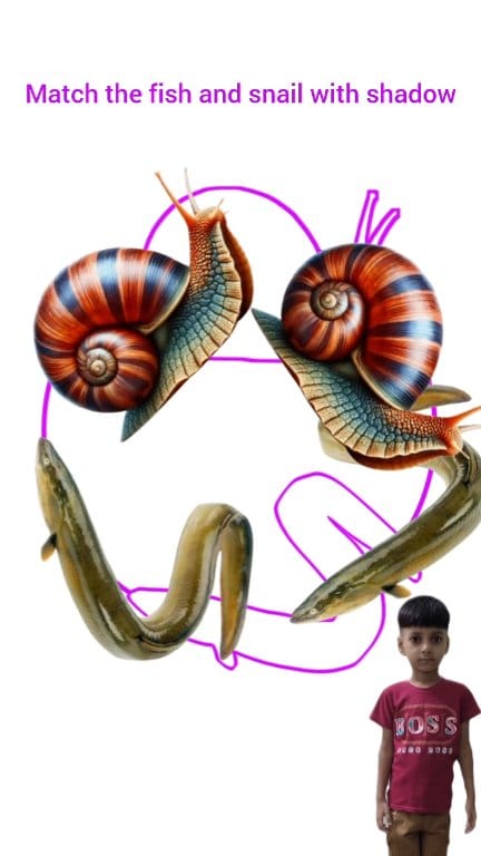 Match the fish and snail with shadow #fbreels #snails #fish # ...