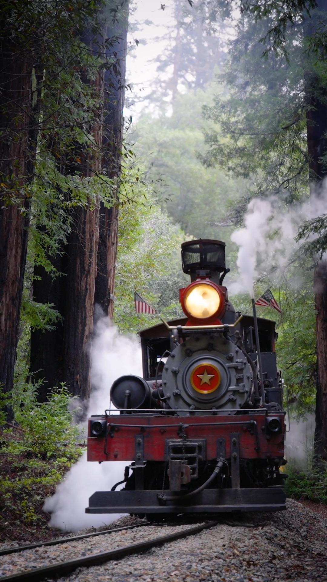 Shay locomotive workin' hard in the Redwood forest ... #Train #Trains # ...