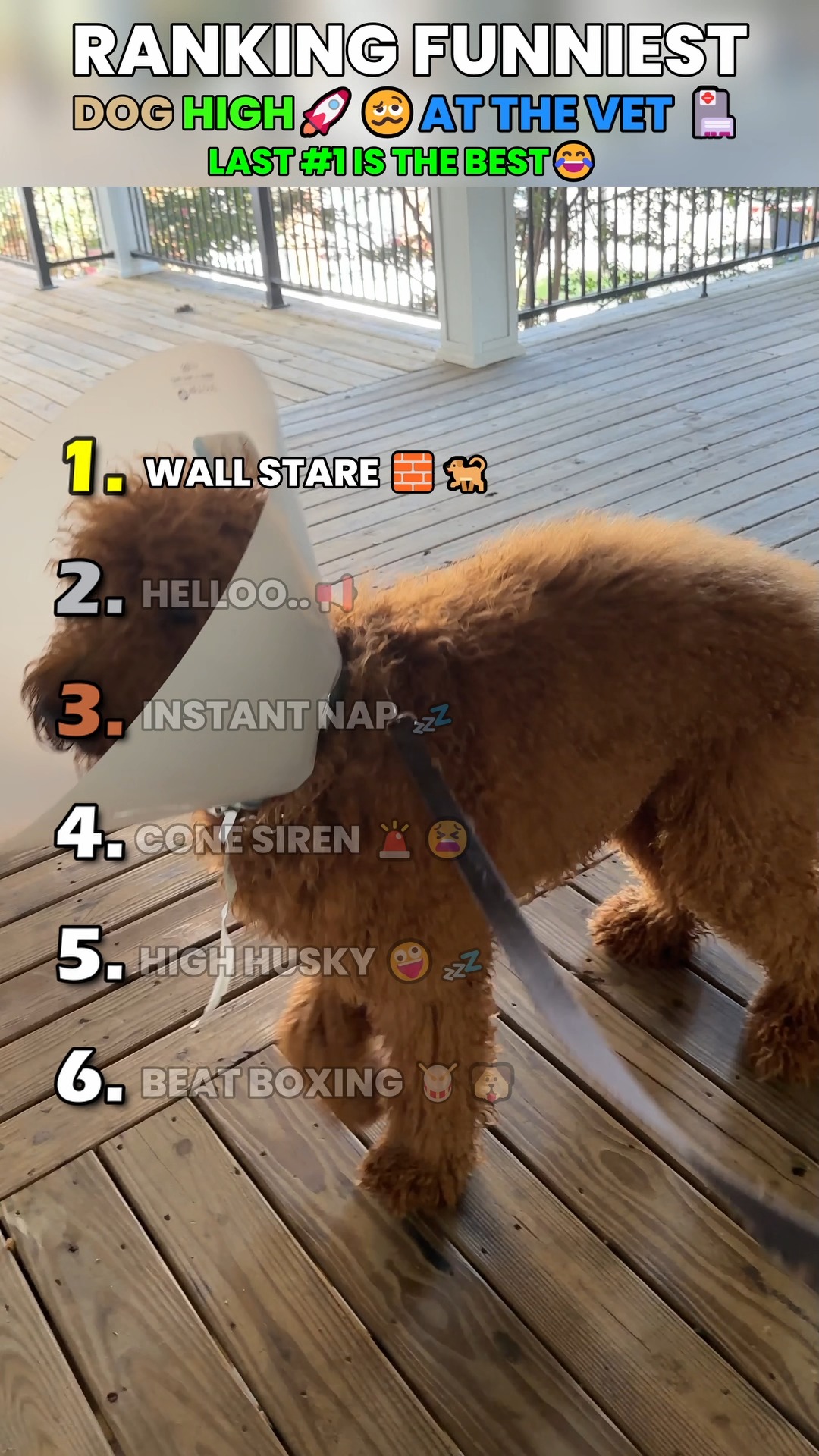 We are ranking the funniest 