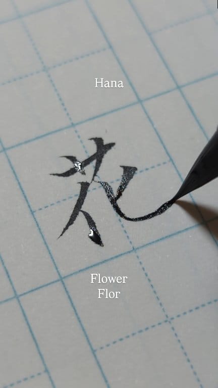 HAna様　ご連絡用です〜　　　　　　　　　　　　　　　　　\( ・×・ )/♡ 花】 Pronunciation🌹hana Meaning🌹flower ✨🌹✨