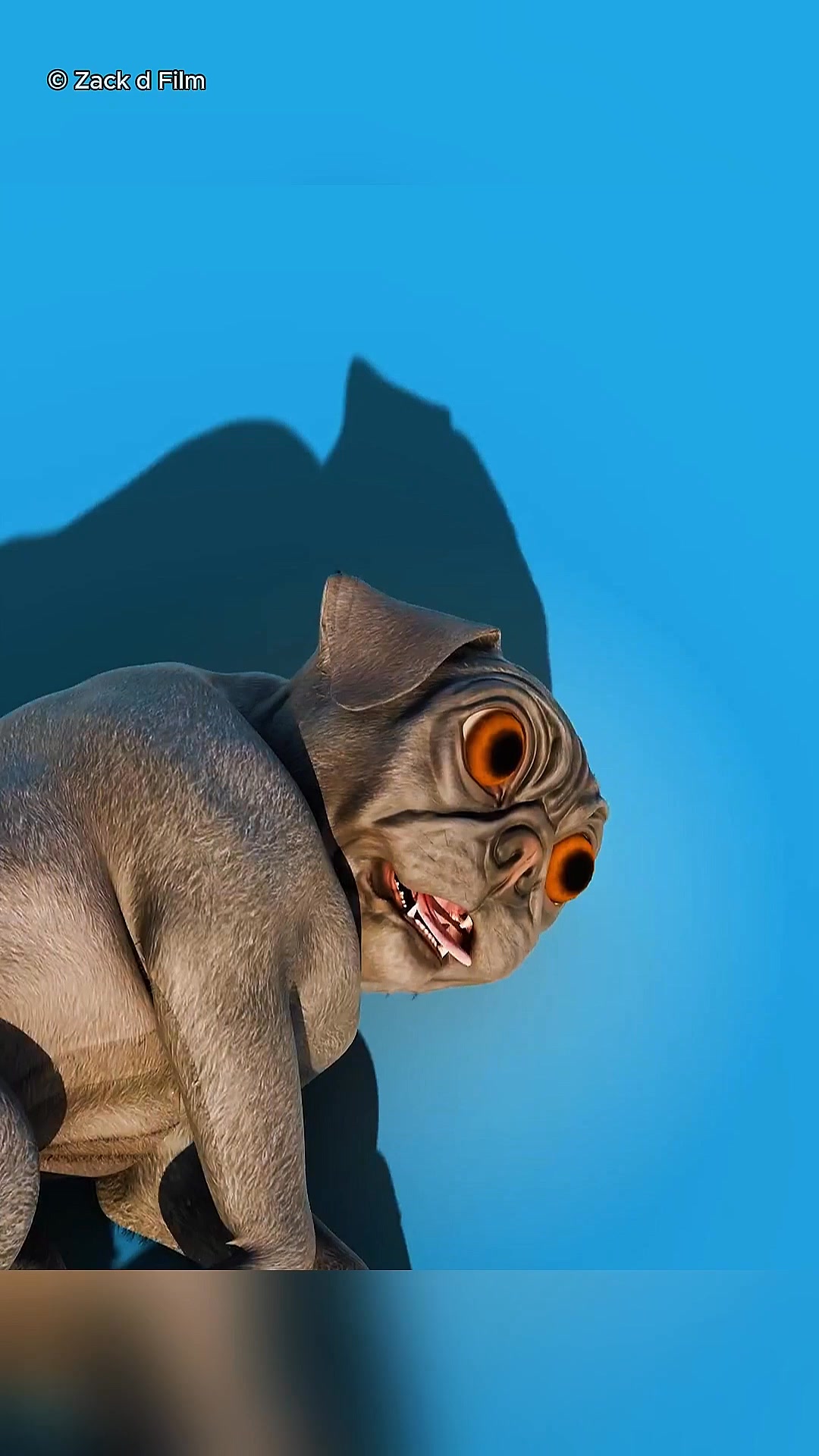 Animals That Survive at Any Cost #animals #survival | FunFact | Facebook