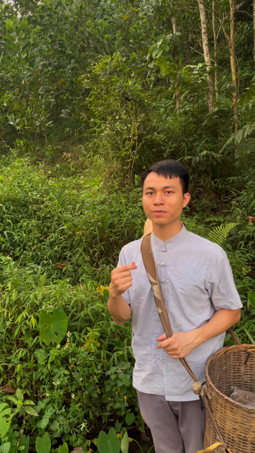 Cây nghể răm trong bài chữa về ký sinh trùng, giun sán, giun đũa chó ...
