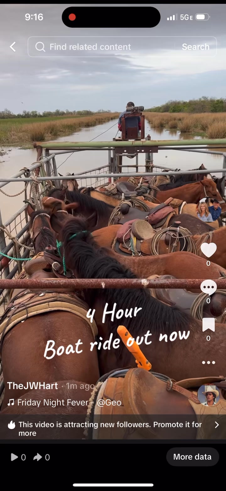 JW Hart / Hart Cattle Company on Reels | Facebook