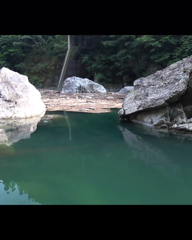 水の中で魚になる ZXY