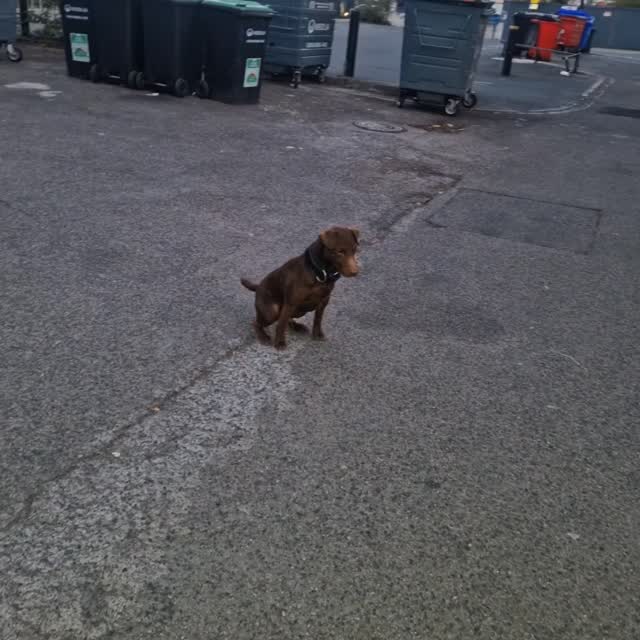 Bin Bashing!! Lovely catches again from the master Rollo .# ...