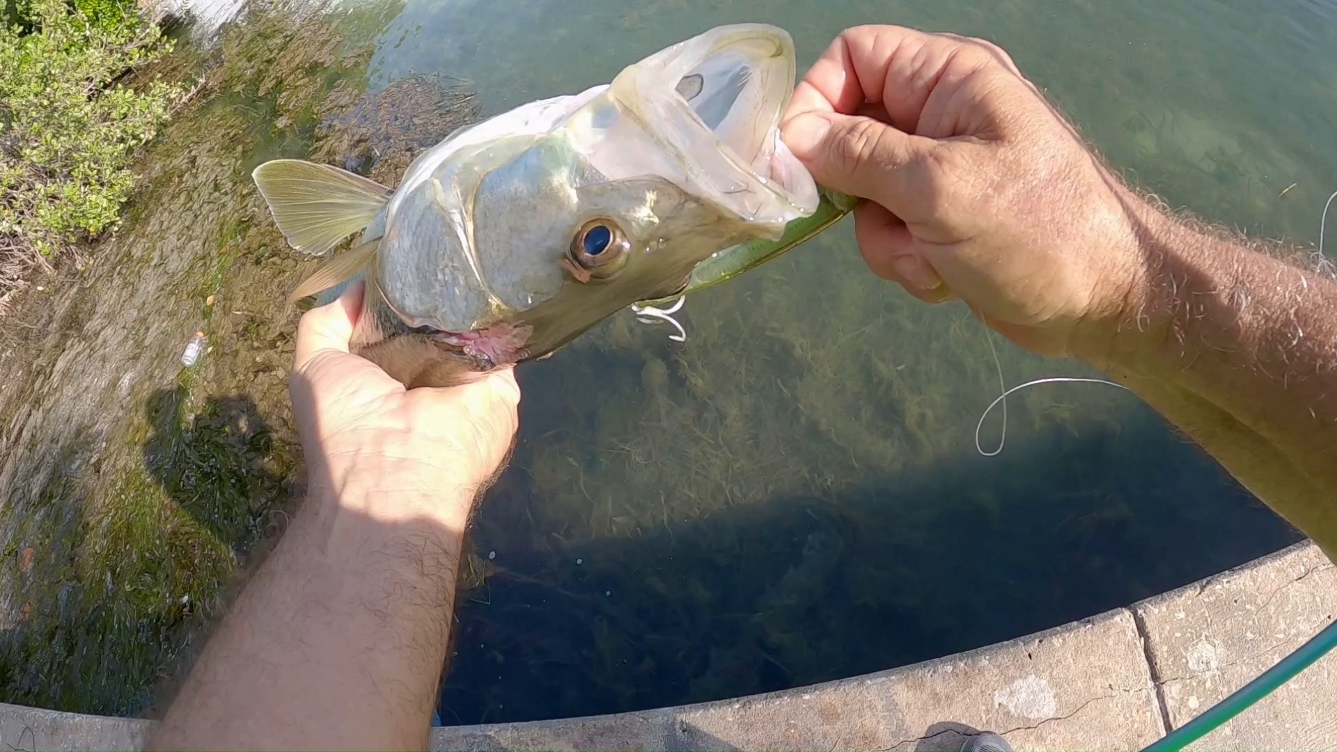 Rad Reeling Fishing