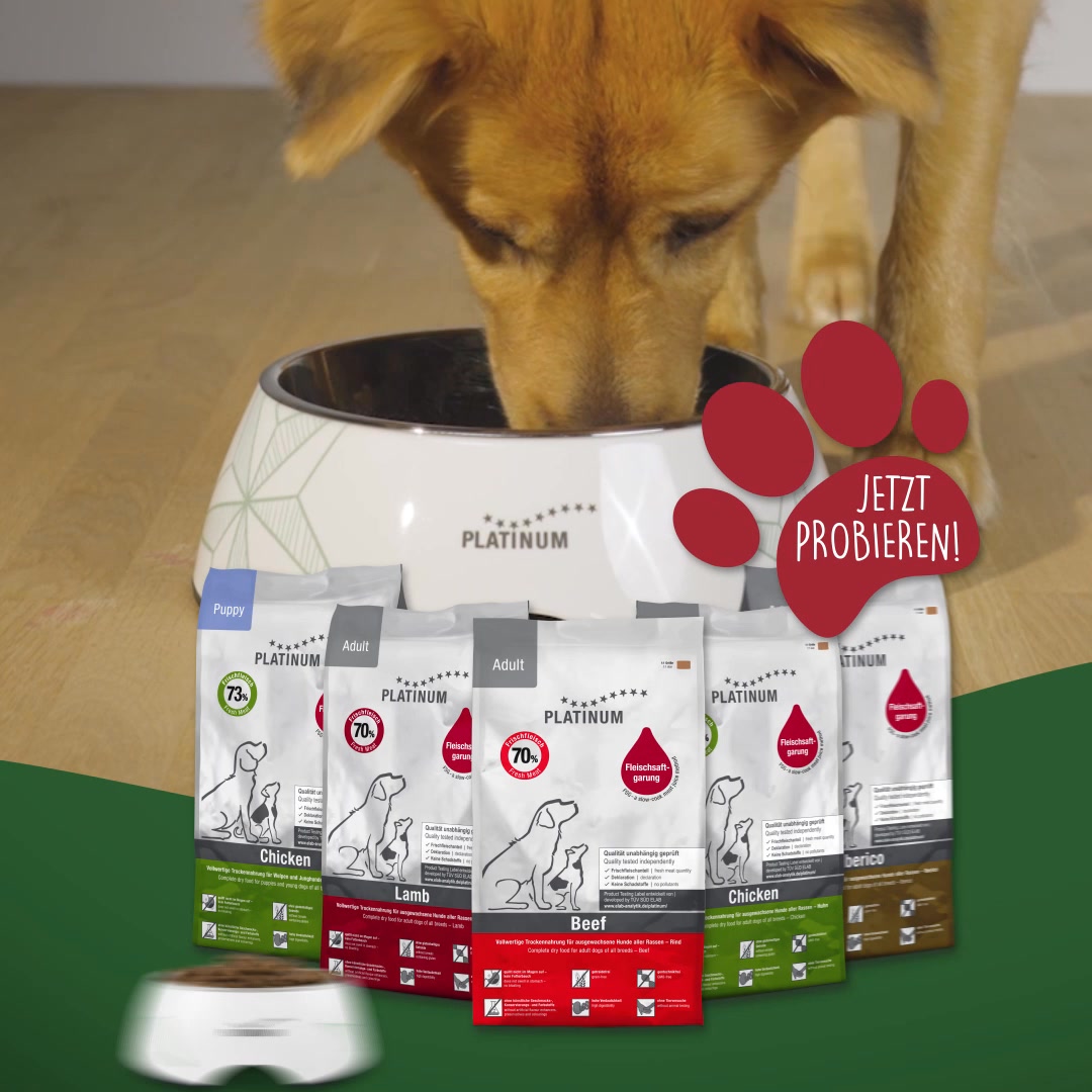 hundefutter fr aktive hunde Perro High Energy Hundefutter fr aktive Hunde