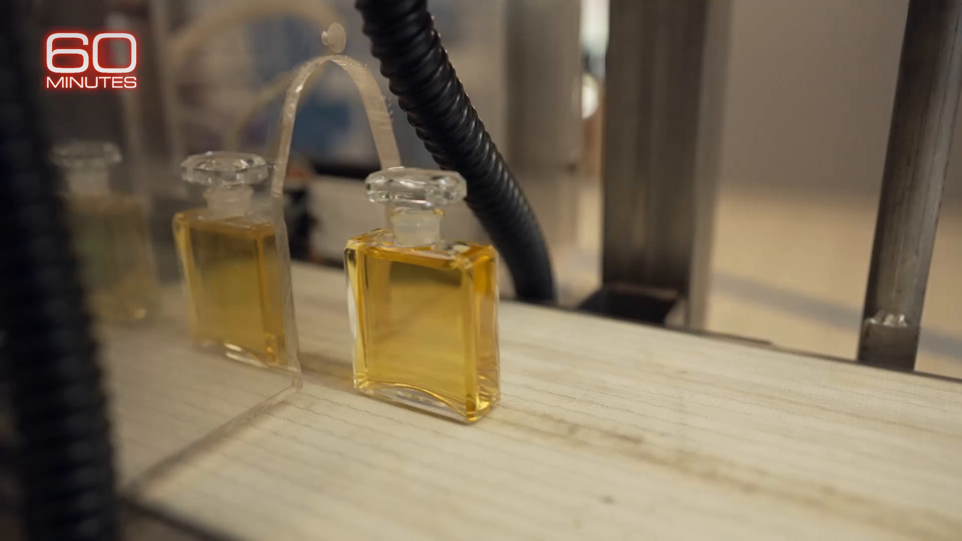 If the jasmine scent in Chanel No. 5 came from anywhere but Grasse