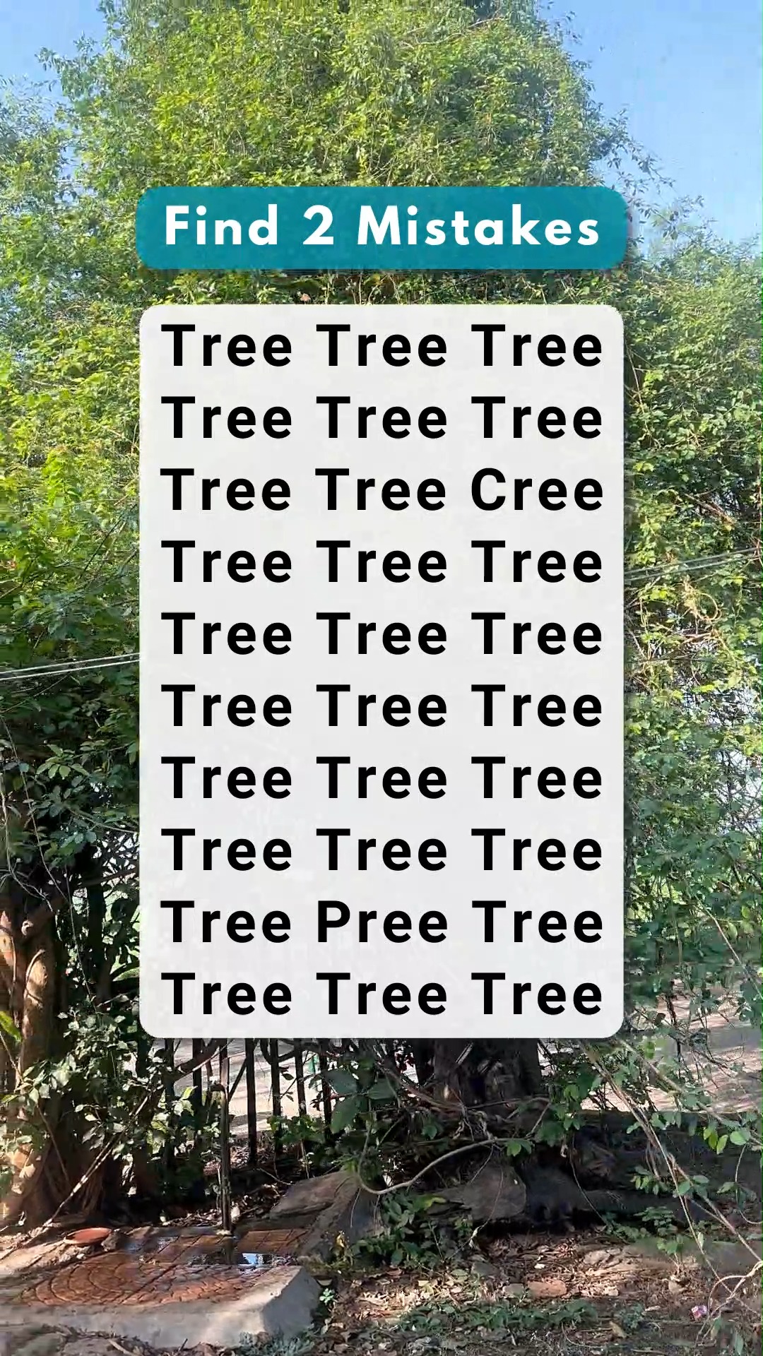 There are two mistakes hidden in Tree🌳 - can you find them? 🤔👀🔍 # ...