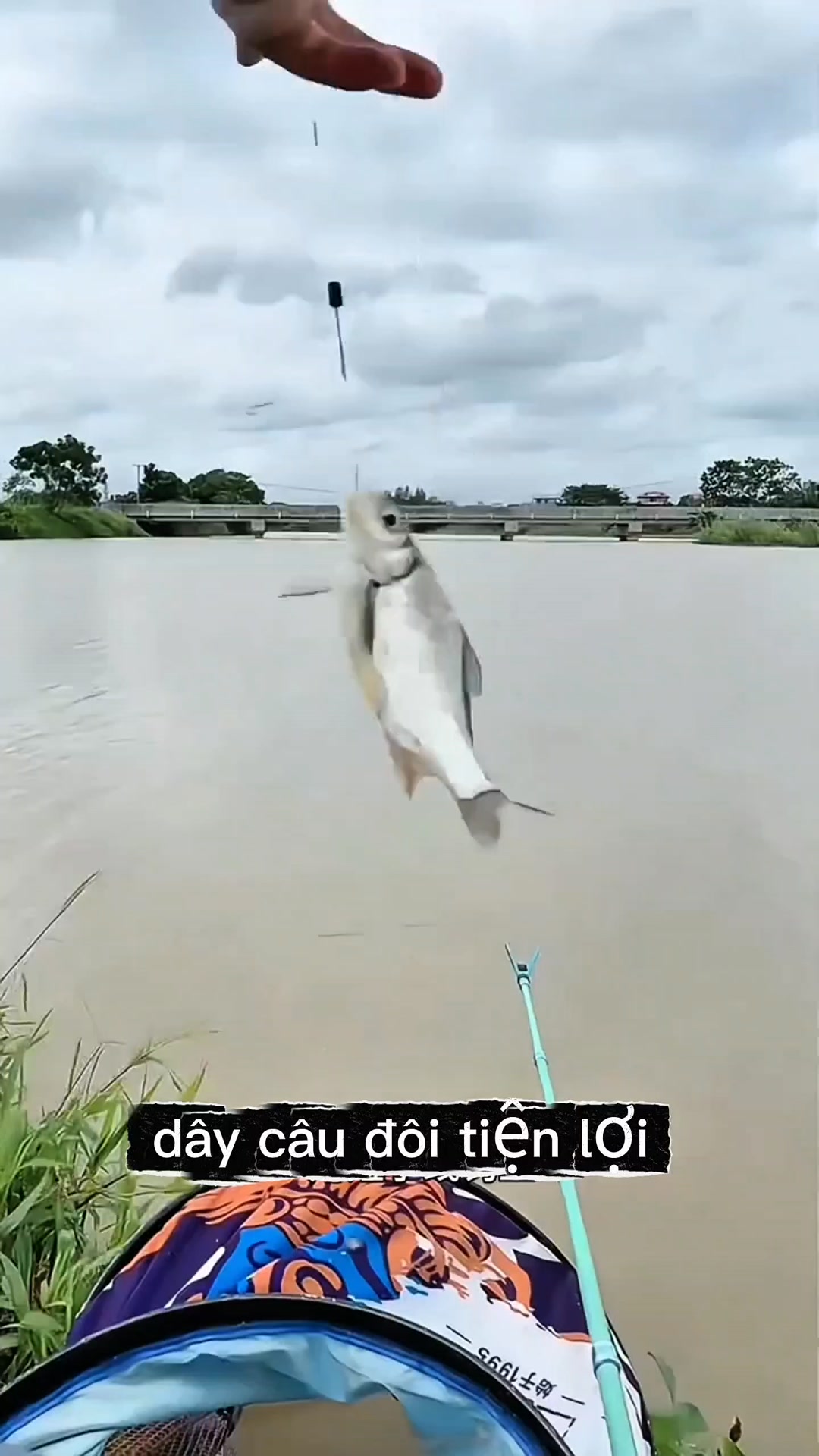 Sản phẩm - phụ kiện tiện ích cho các bác cần thủ dây câu đôi tiện lợi ...