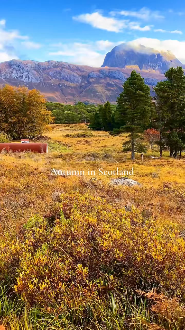 A fold of Highlanders at Croachy near Inverness. I can’t get enough of ...