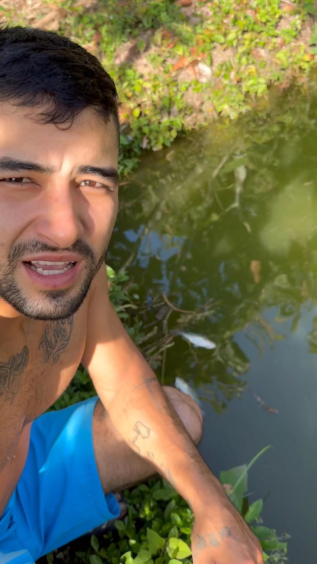 Hoy amanecieron dos peces, muertos, triste por los peces | El rrusti ...