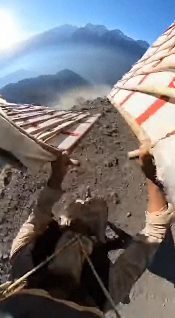 Flying Attempt Fail #shorts #viral #reelschallengereelschallenge ...