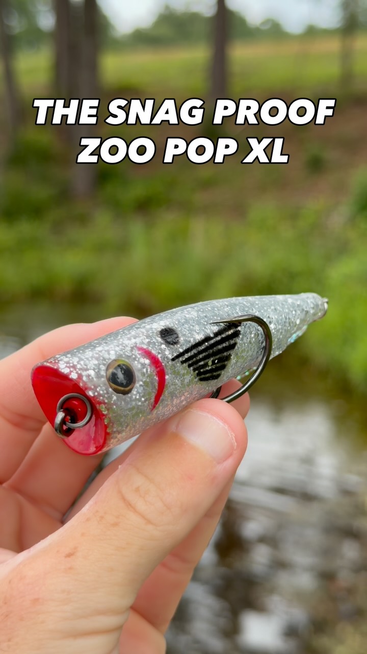 fish lure black and white Yakima Bait Wordens 208-BL Original RoosterTail Spinner Lure, 2 1/4-Inch, 1/8-ounce, : Fishing Spinners Spinnerbaits : Sports & Outdoors Bass fishing reel review Color:Bumblebee Grouper metal-Other|Wood Box the wounded minnow action