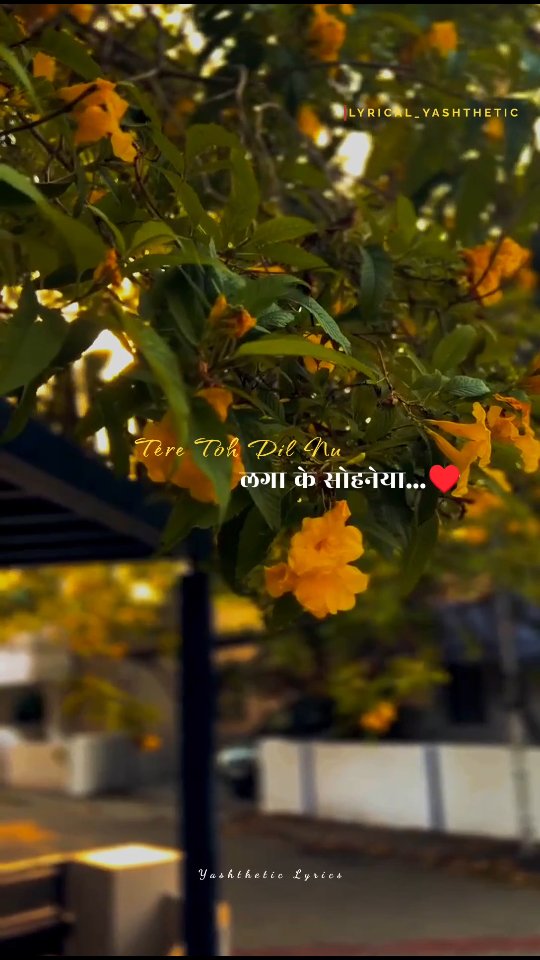 Sanu Vi Kadi Aavan Jaavan De...🥹💝🫶🏻💫:) . . . . . . . . . . . Hit the ...