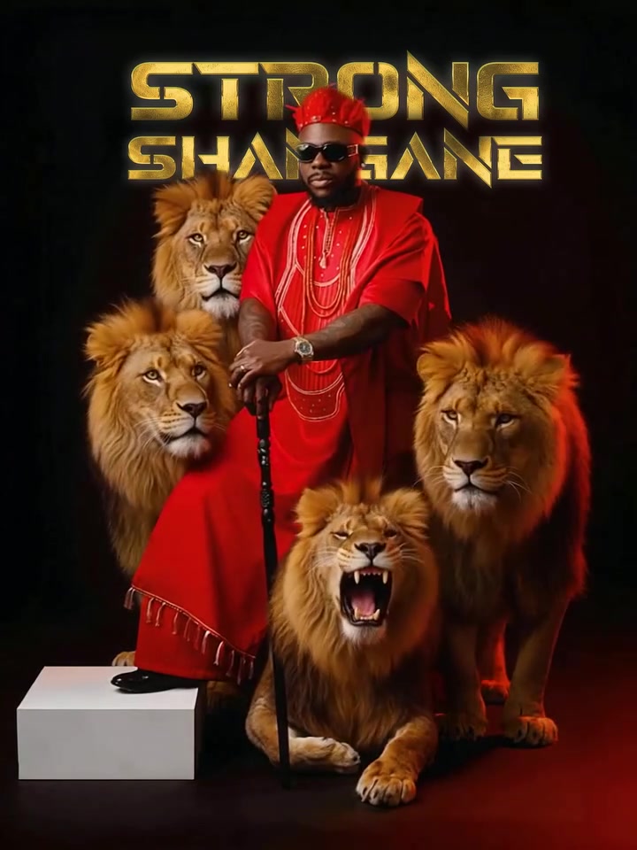 Mr. Bow revela o nome do seu novo álbum “STRONG SHANGANE” A três dias ...