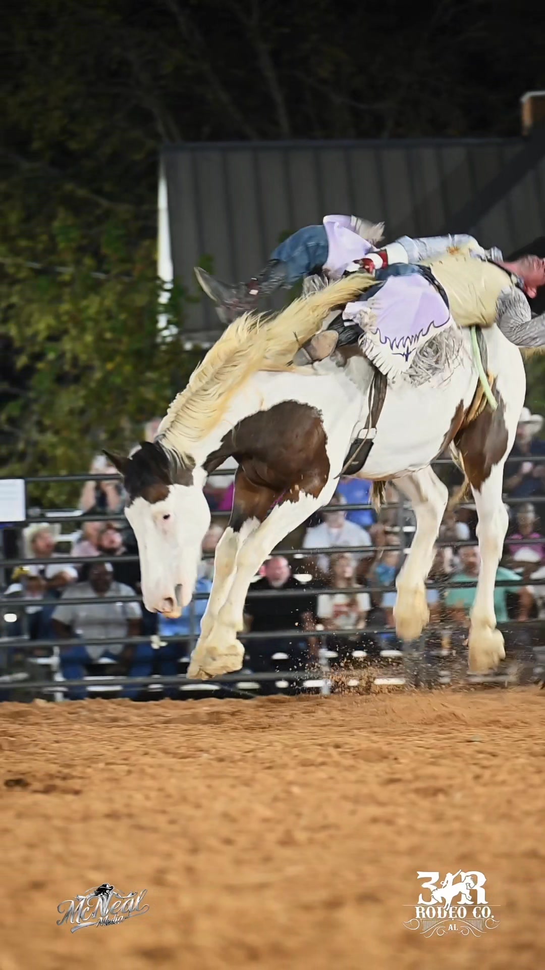 #3rrodeocompany #Rodeo #cowboys #mojojoint | 3R Rodeo Company | Facebook