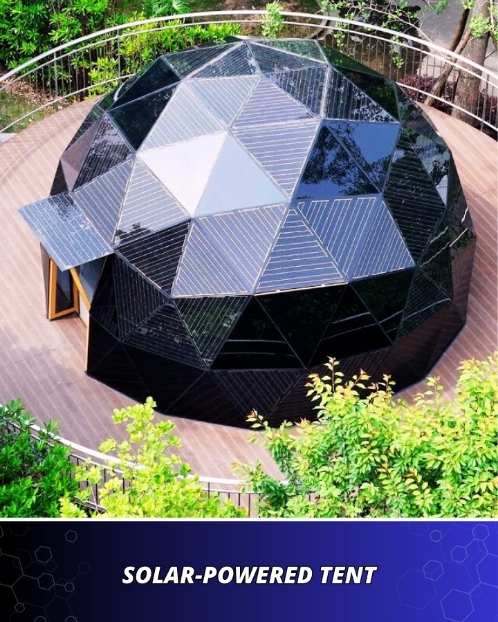 1 person dome tent Greatland Outdoors Room – Used Yamaha FC4A SUSTAIN Color: Gold Effortless 1Pull setup for Size:17