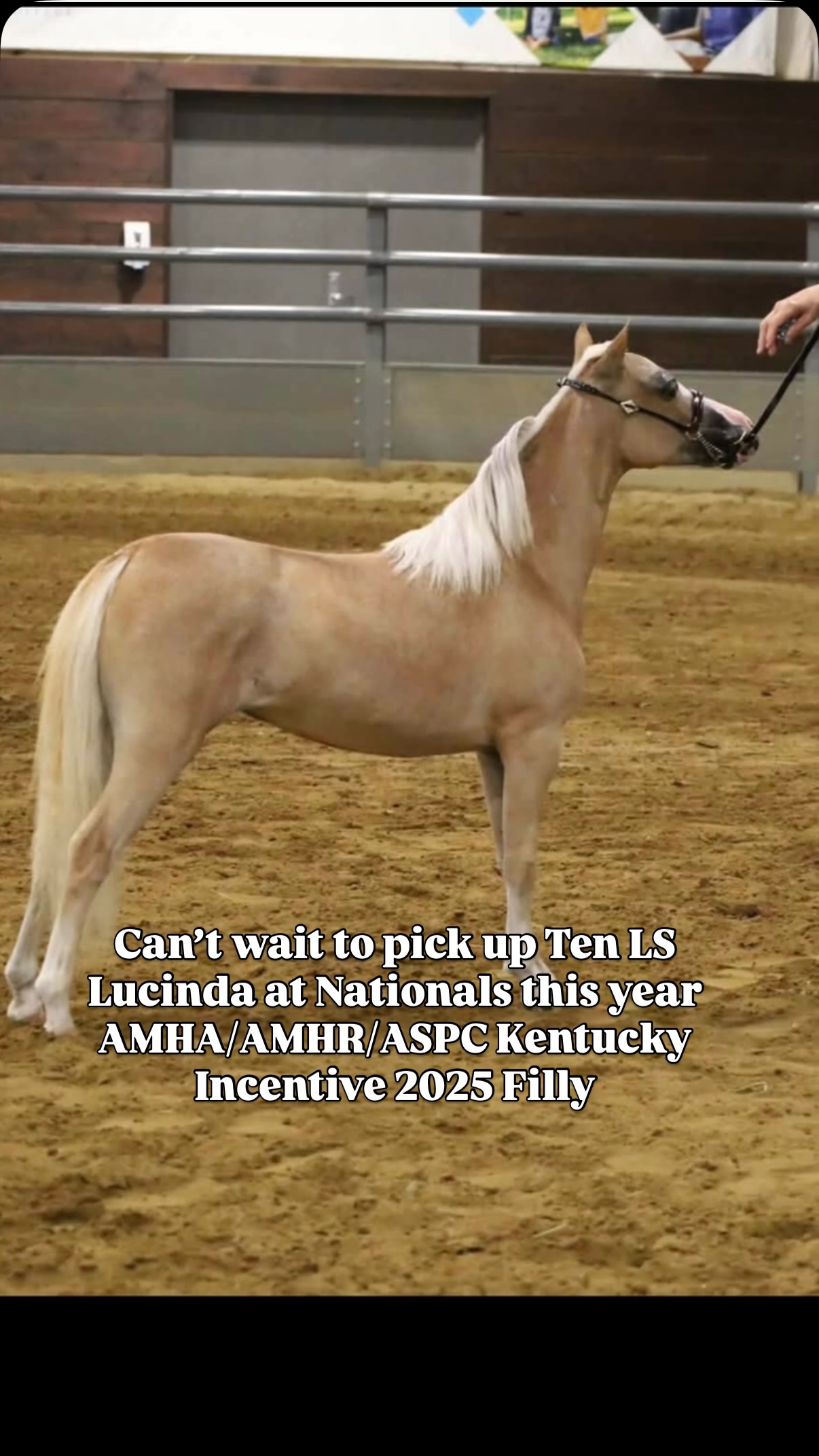 Can t wait to pick up Ten LS Lucinda at Nationals this year  