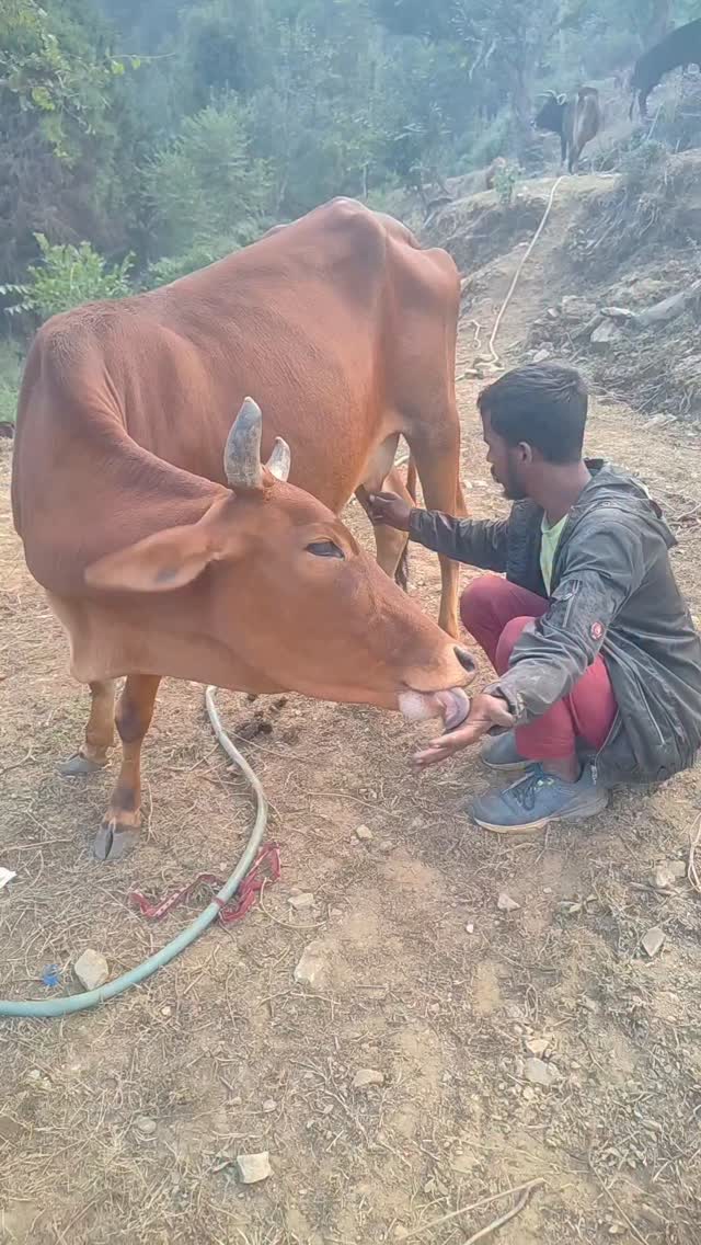 #पहाडी_हे_हम😍😎💪 | Phadi Chhora | Facebook